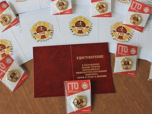 Получены золотые знаки отличия ВФСК ГТО!